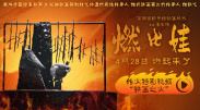 午夜在线观看视频免费成人